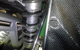 HARLEY RH975 2022