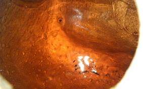 OTHER +UNREGISTERED MODEL by BDS1200 2010