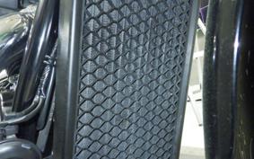 HONDA VT400S 2014 NC46