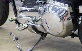 HARLEY FXDL 2001 GDV