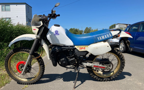 YAMAHA DT125R 34X