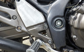 KAWASAKI BALIUS 250 Gen.2 2023 ZR250B