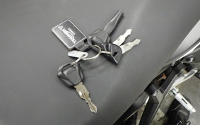 TRIUMPH TRIDENT 660 2025