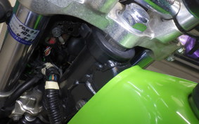 KAWASAKI SUPER SHERPA KL250G