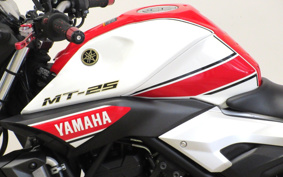 YAMAHA MT-25 RG10J