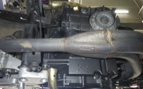 HONDA HORNET 250 2025 MC31