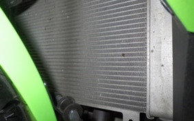 KAWASAKI ZX-4RR 2024 ZX400P