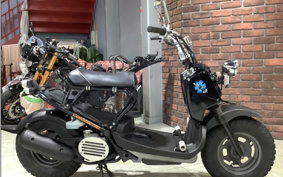 HONDA ZOOMER AF58