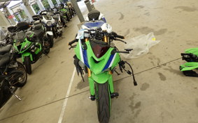 KAWASAKI NINJA ZX-6R A 2024 ZX636J