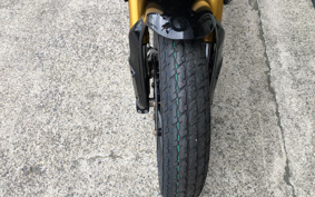 INDIAN FTR1200S 2021