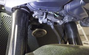 KAWASAKI Z1000