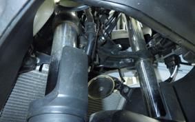 KAWASAKI NINJA 250 ABS EX250L