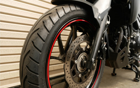 SUZUKI STROM 250ABS DS11A