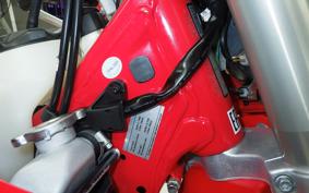 GASGAS EC 250
