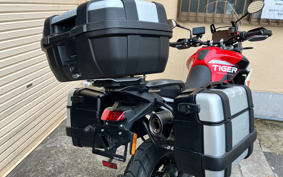 TRIUMPH TIGER 900GTARAGON 2023 TRE64D