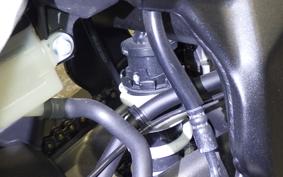 HONDA CBR250RR A 2025 MC51