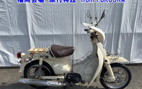 OTHER  LITTLE CUB -FI