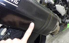 KAWASAKI ZX-4RR 2023