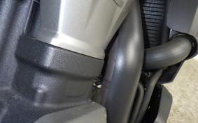 HARLEY RH975 2022