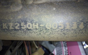 KAWASAKI Z250 Limited 2007 KZ250H