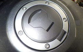 HONDA REBEL 1100 DCT 2023 SC83