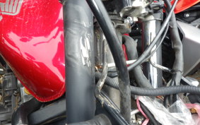 HONDA HORNET 250 MC31