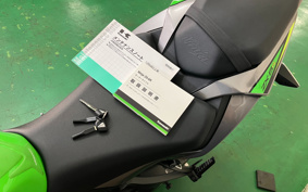 KAWASAKI NINJA ZX-6R 2019 ZX636G