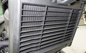 HONDA REBEL 1100 DCT 2025