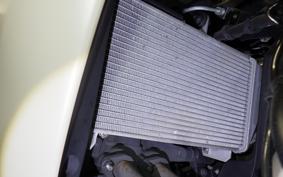 YAMAHA YZF-R25 A 1992 RG74J