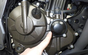 SUZUKI Vｽﾄﾛｰﾑ250SX 2014 EL11L