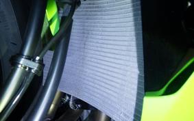 KAWASAKI NINJA ZX-6R A 2025 ZX636J