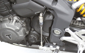 TRIUMPH  TRIUMPH SPEED TRIPLE RS 2021 S3P01S