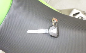 KAWASAKI NINJA 250 2019 EX250Y