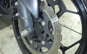 KAWASAKI NINJA 250 2024 EX250L