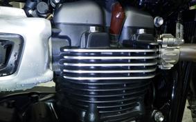 TRIUMPH SPEED TWIN 900 2024