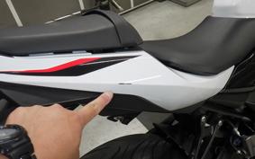 SUZUKI GSX250RA