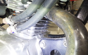 HONDA APE 50 2026 AC16