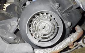 HONDA TODAY 1994 AF61