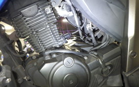 SUZUKI GIXXER 150 2024 NG4BG