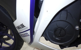 YAMAHA YZF-R25 2021 RG10J