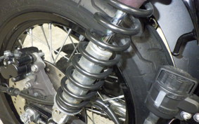 KAWASAKI W800 CAFE 2021 EJ800B