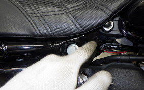 HARLEY FXLRST1920 2023