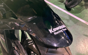 KAWASAKI NINJA 400 2019 EX400G