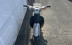 HONDA LITTLE CUB