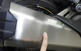 KAWASAKI NINJA 1100SX 2025 ZXT10H
