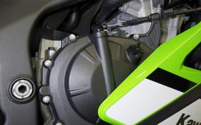KAWASAKI ZX-4RR 2025 ZX400P