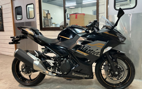 KAWASAKI NINJA 400 2019 EX400G