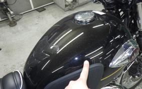 KAWASAKI W800 2025 EJ800E