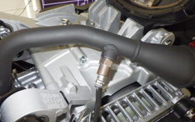 YAMAHA CYGNUSｸﾞﾘﾌｧｽ SEJ4J