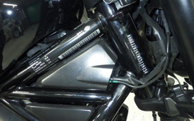 HARLEY RH975 2022